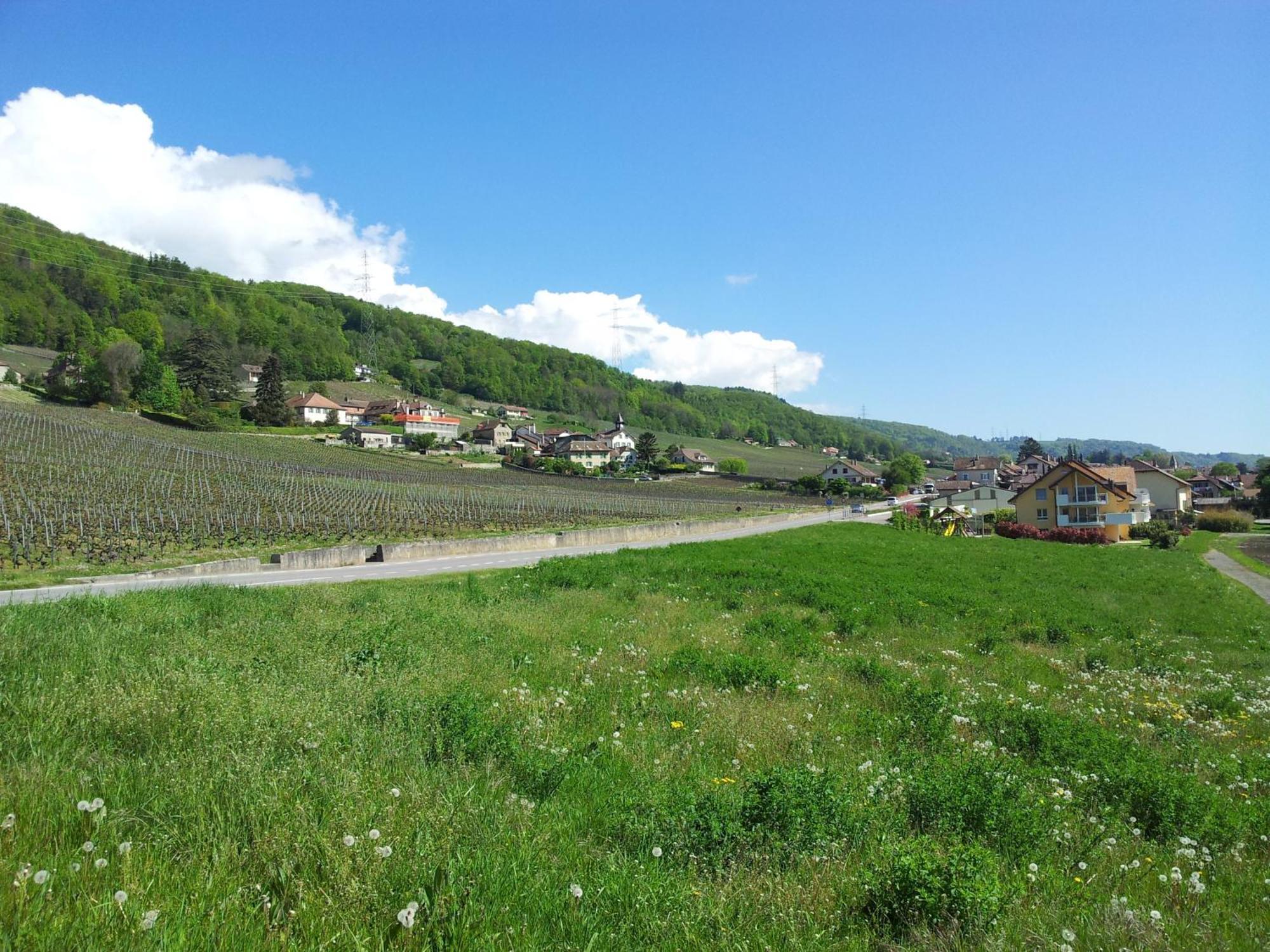 Bed and Breakfast Au Coeur Du Vignoble Sur Bursins Екстер'єр фото